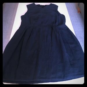 Navy Blue Gap Fit and Flare Dress